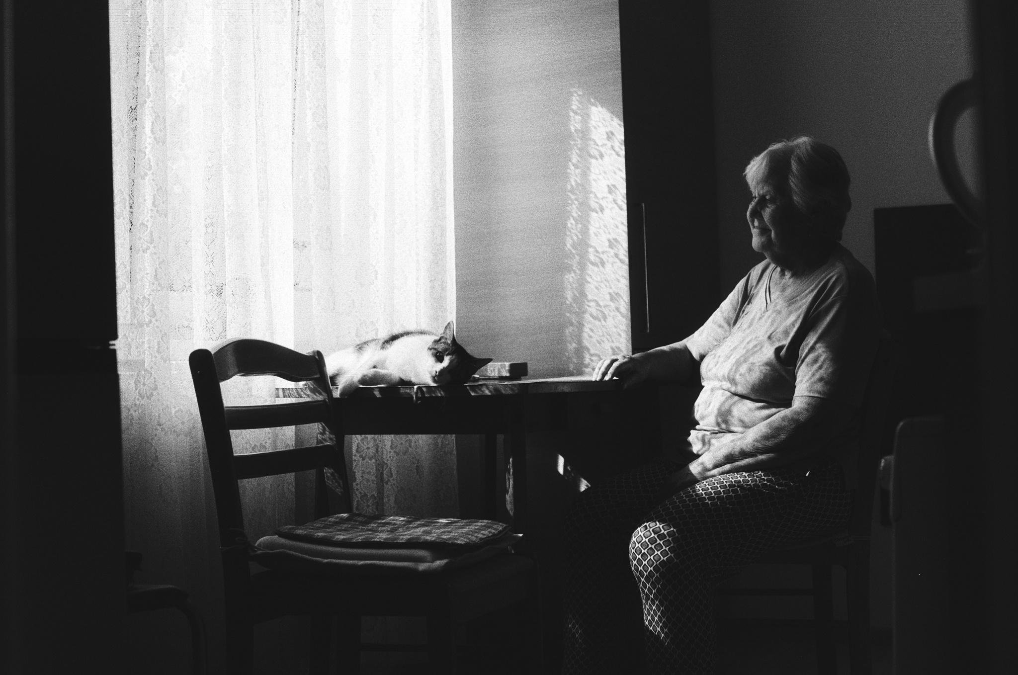 Black-and-white photo of an older woman seated at a small table by a sunlit window with lace curtains, facing a cat lying on the tabletop; a wooden chair sits in the foreground and most of the room is in shadow.