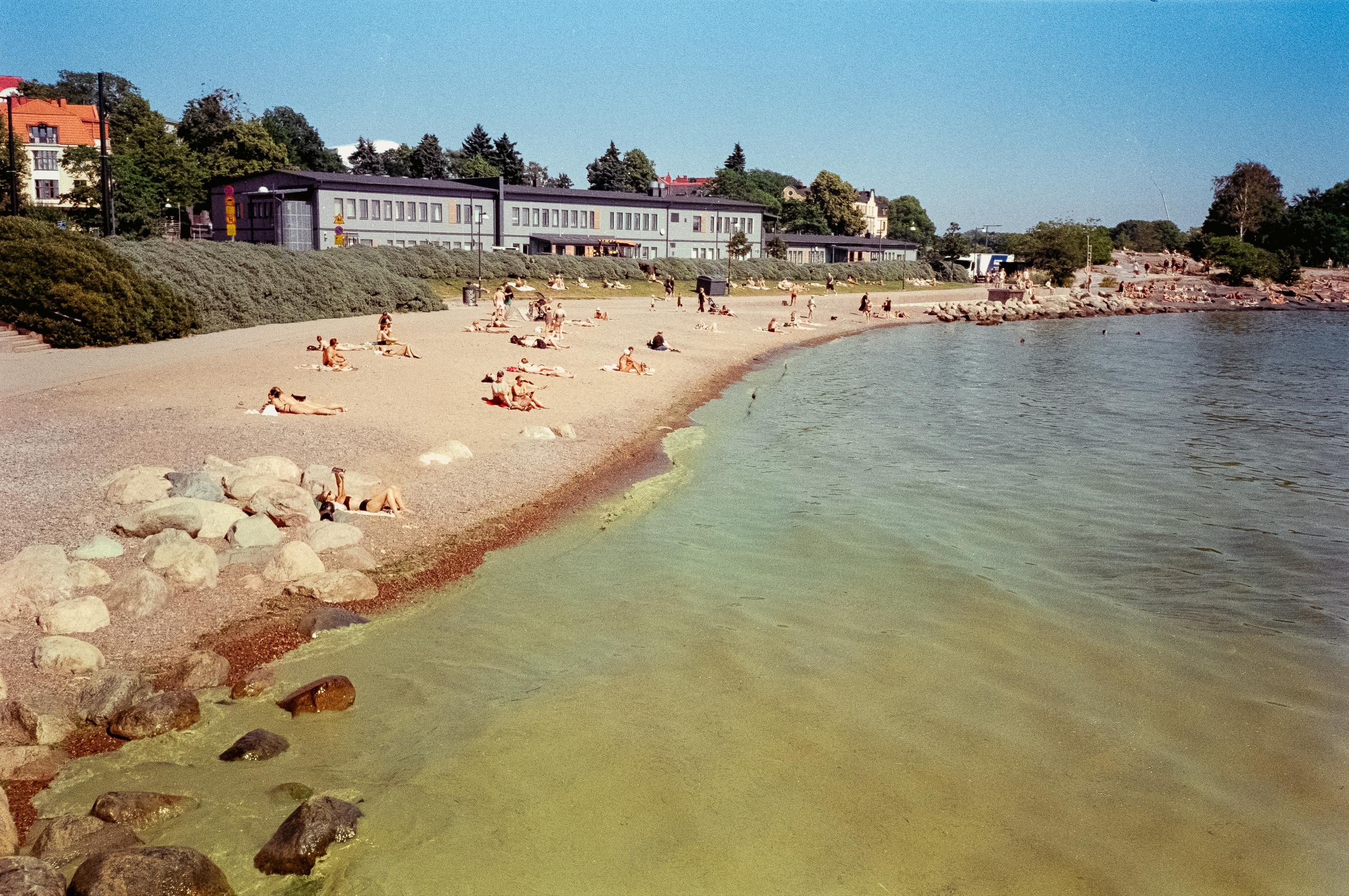 Sandy beach with scattered sunbathers and rocky shoreline on the left. Clear blue sky and calm sea with a greenish hue in the foreground. A long building with trees and houses in the background. Lots of poisonous algae.
