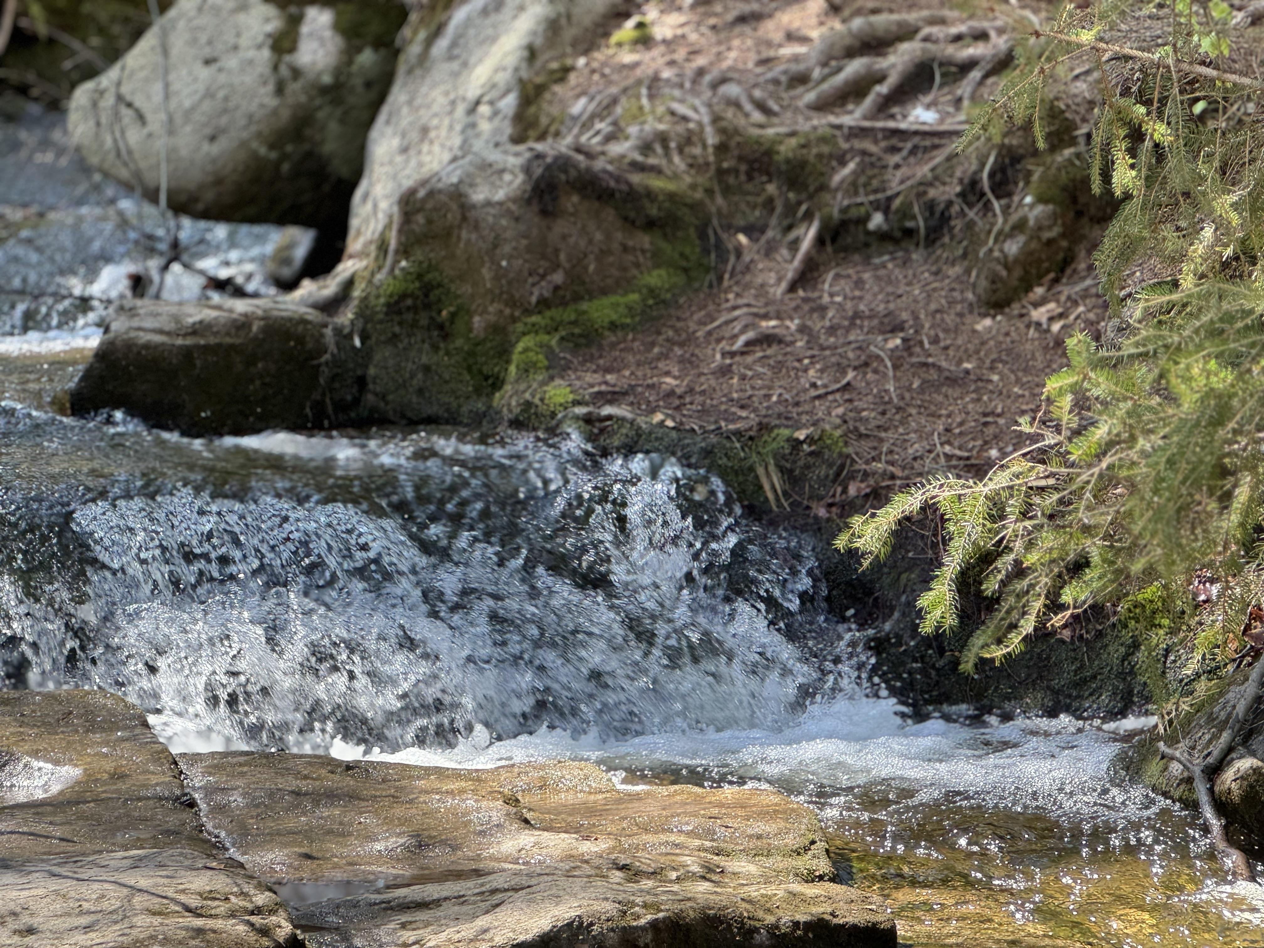 The image shows a natural scene with a small waterfall or cascade of water flowing over rocks. The area around the water is surrounded by greenery, possibly moss and small plants, and there are some trees or branches visible on the right.