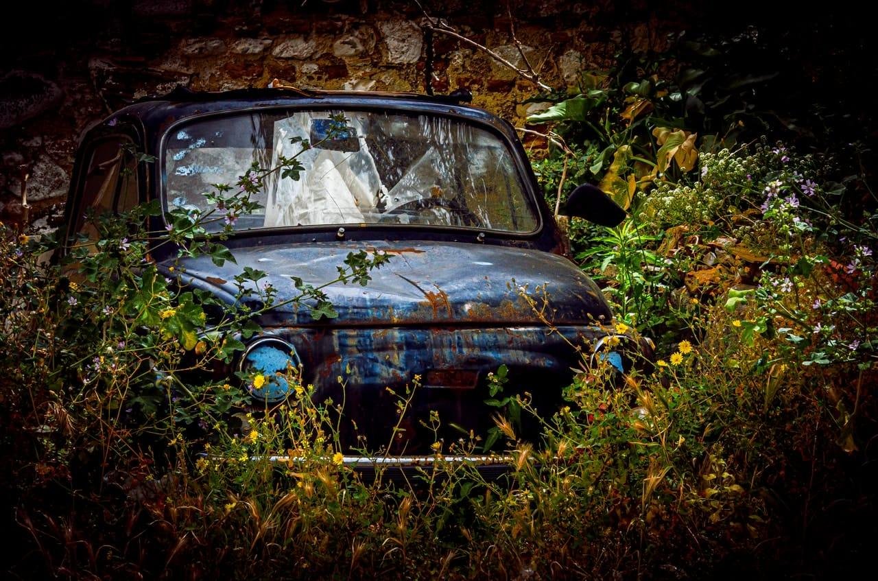 Front view of a rusted, abandoned car partially covered by tall weeds and wildflowers, with a cracked windshield and missing headlight, parked against a stone wall with dense greenery around it.