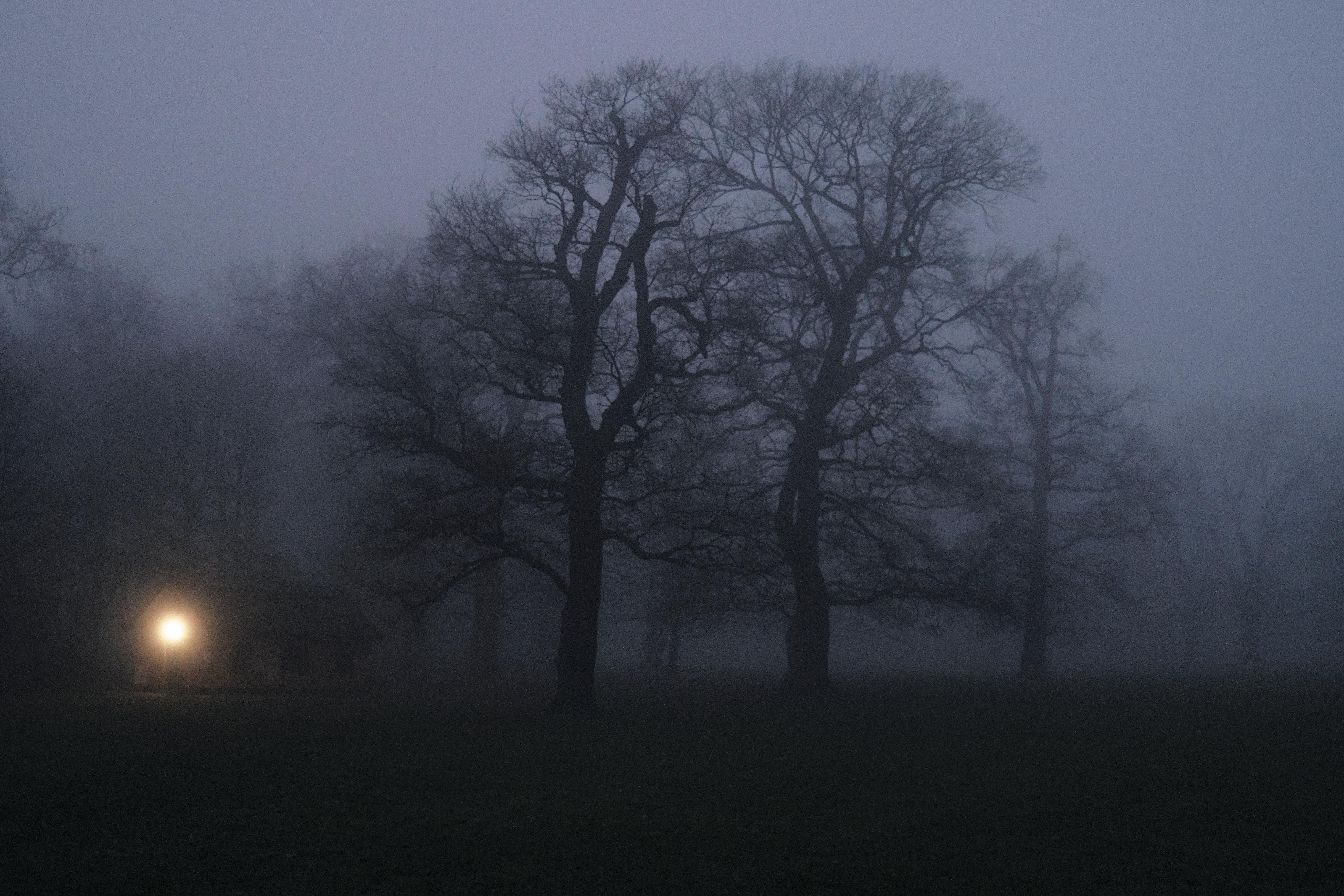 The image shows a dark and foggy scene with large, leafless trees. There is a small building to the left with a light shining brightly, creating an atmospheric and possibly eerie ambiance. The dense fog obscures the background, adding to the mysterious and moody feel of the setting.