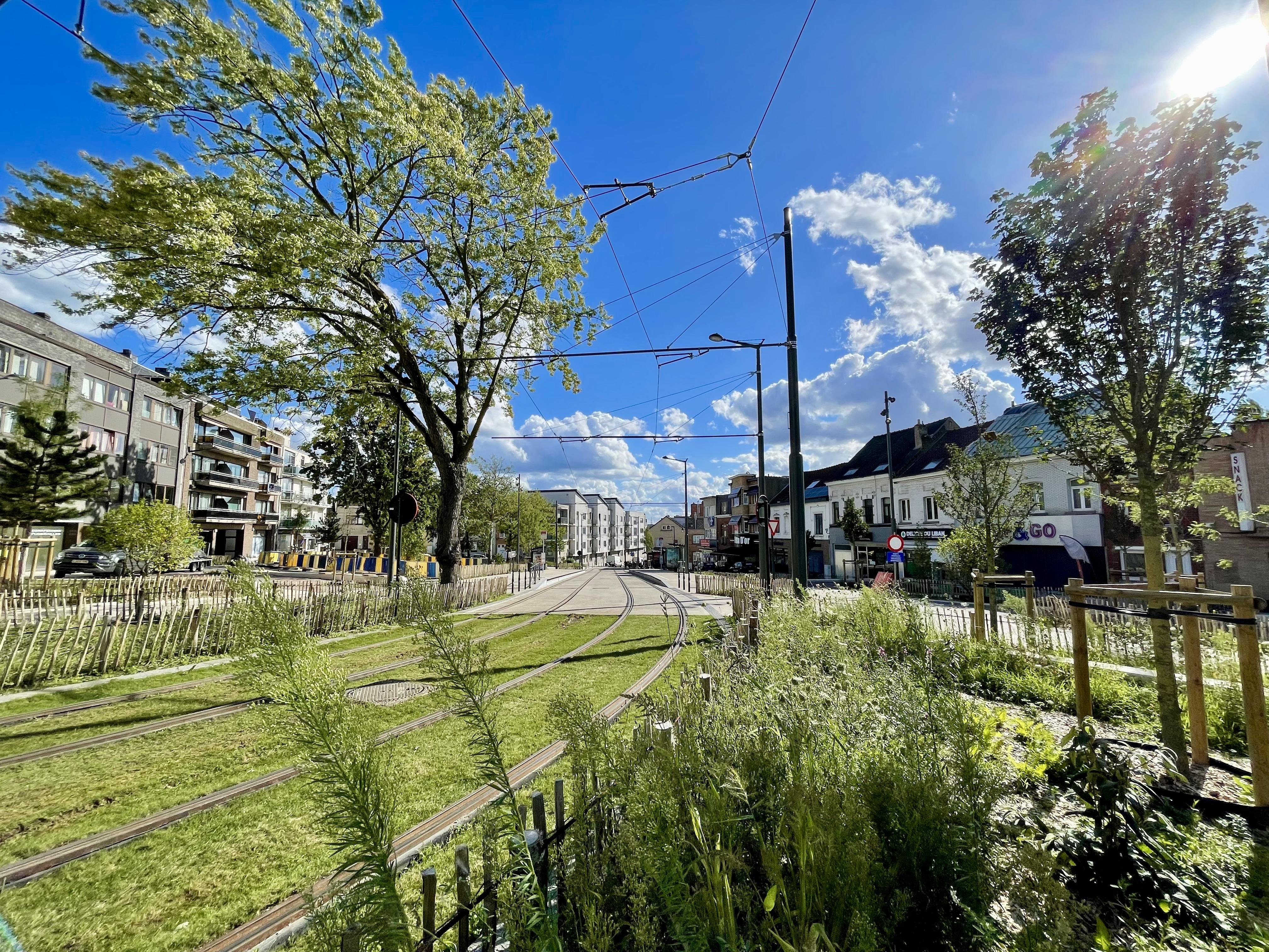 The image depicts a scenic urban street with tram tracks running through the middle, flanked by greenery and residential buildings. The tram tracks are embedded in grass, giving a green and eco-friendly look to the street. On the left side, there are multistory residential buildings with balconies. There are tall trees providing shade and adding to the verdant setting. The sky is bright blue with several fluffy white clouds, indicating a clear, sunny day. On the right side, there are more buildings, including a shop with a sign partially visible. Traffic lights and wiring for the tram are also visible overhead. Overall, the image portrays a tranquil, well-maintained urban environment.