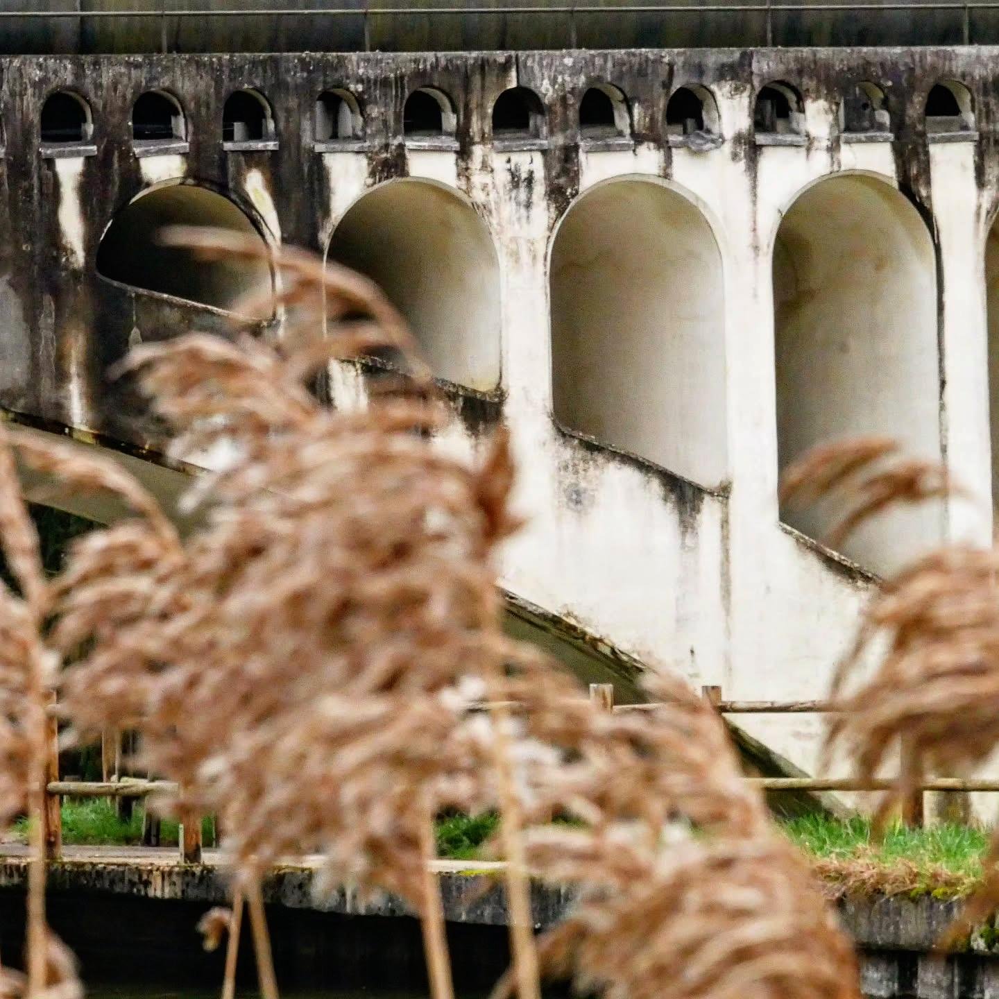 The image shows a close-up of a bridge structure with several large, arch-shaped openings. The building appears to be weathered, with signs of aging or wear visible on its surface. In the foreground, there are blurred plants, suggesting a natural setting near the structure.