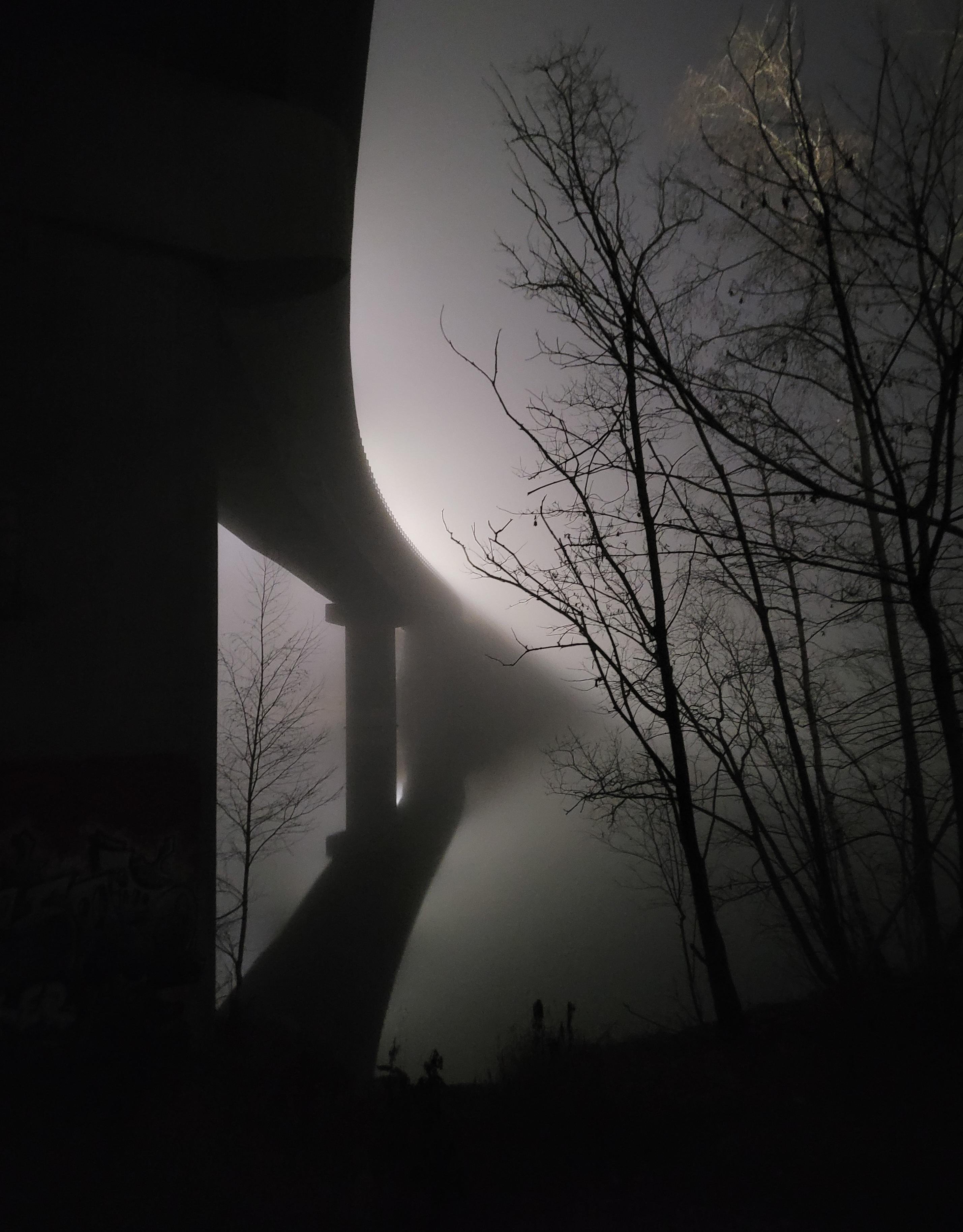 A naturally black and white picture because it's already dark outside, of a slightly curved bridge over a mirror of still water. It's foggy and the only light comes indirectly from the streetlights on the bridge, making everything else (the bridge, the reflection of it in the water and the bare trees on the shoreline in the foreground) look like black silhouettes