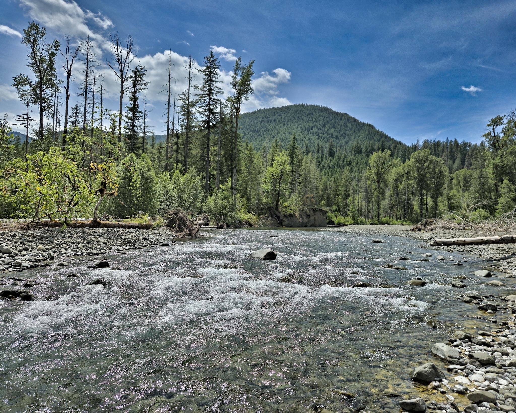 River with clear, flowing water surrounded by rocky shores and dense forest. Tall pine trees and lush greenery extend toward a distant, tree-covered hill under a partly cloudy blue sky. Rocks and pebbles are visible in the foreground along the riverbank.