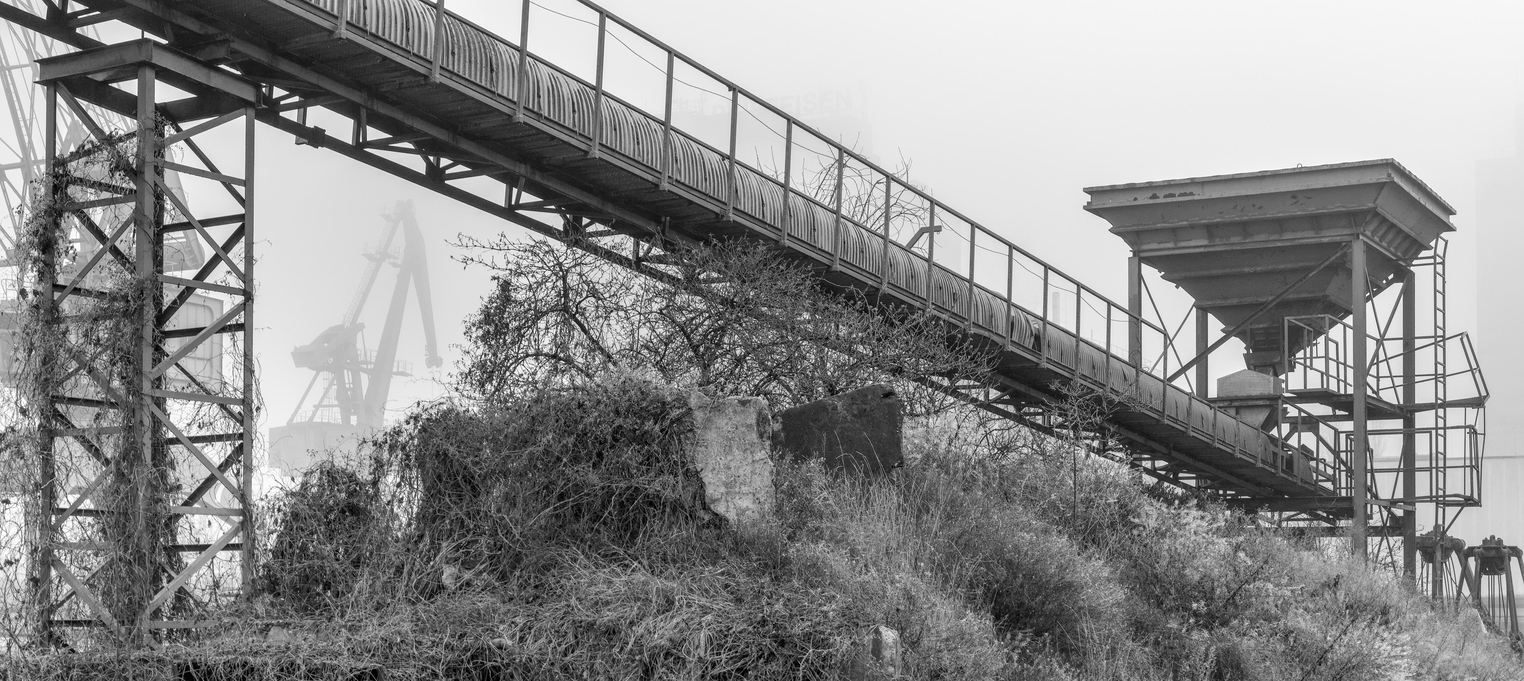 Long elevated metal conveyor walkway crossing diagonally over overgrown brush, supported by steel trusses on the left and leading to a hopper structure on stilts at the right, with faint industrial cranes in the background. 
### 
Ein langer, erhöhter Förderbandsteg aus Metall verläuft diagonal über wucherndes Gestrüpp, wird links von Stahlträgern gestützt und führt rechts zu einer auf Stelzen stehenden Trichterkonstruktion; im Hintergrund sind schwach Industriekräne zu erkennen. 