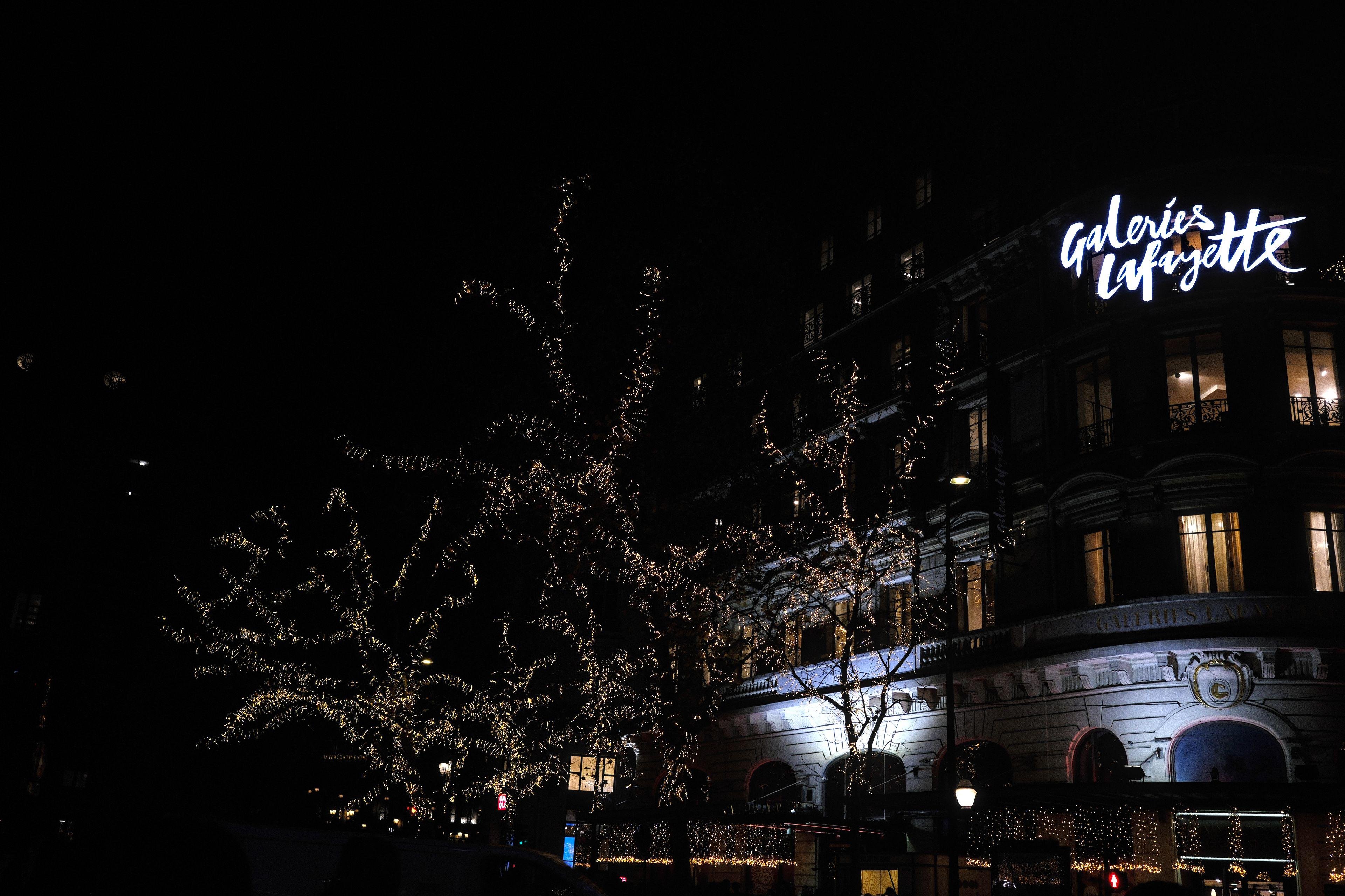 Photo horizontale de nuit. Des arbres sans feuilles mais avec des guirlandes de LED le long des branches qui redessinent les arbres dans l’obscurité. Derrière, les Galeries Lafayette
