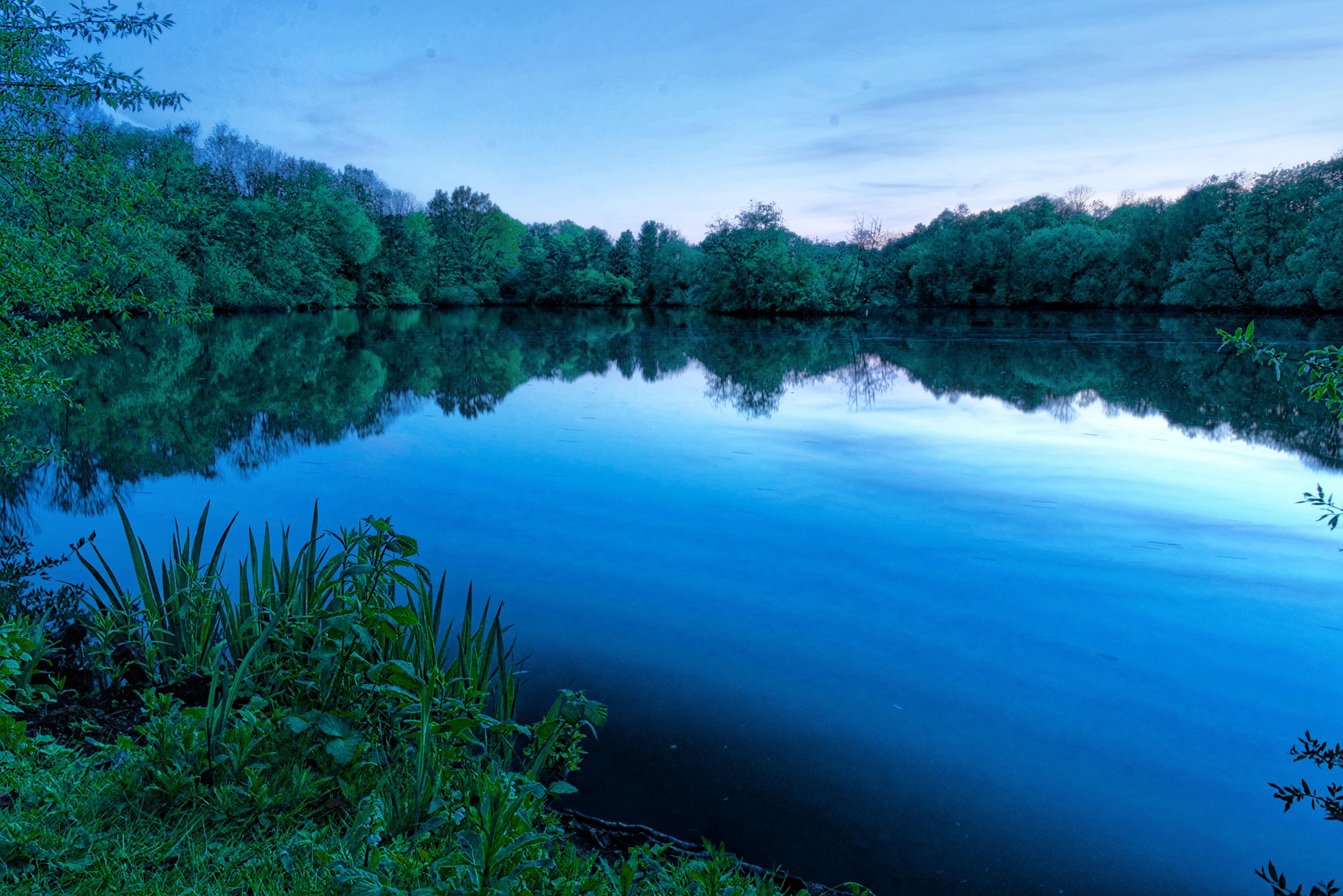 The image shows a serene lake surrounded by trees. The water reflects the sky and the surrounding greenery, giving the scene a tranquil and peaceful atmosphere. The foreground includes some plants and shrubs. It's likely taken during either sunrise or sunset due to the lighting.