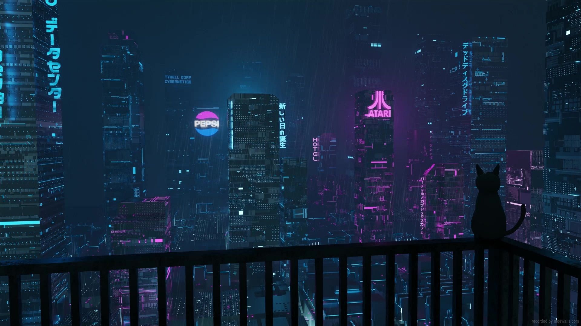 header profile