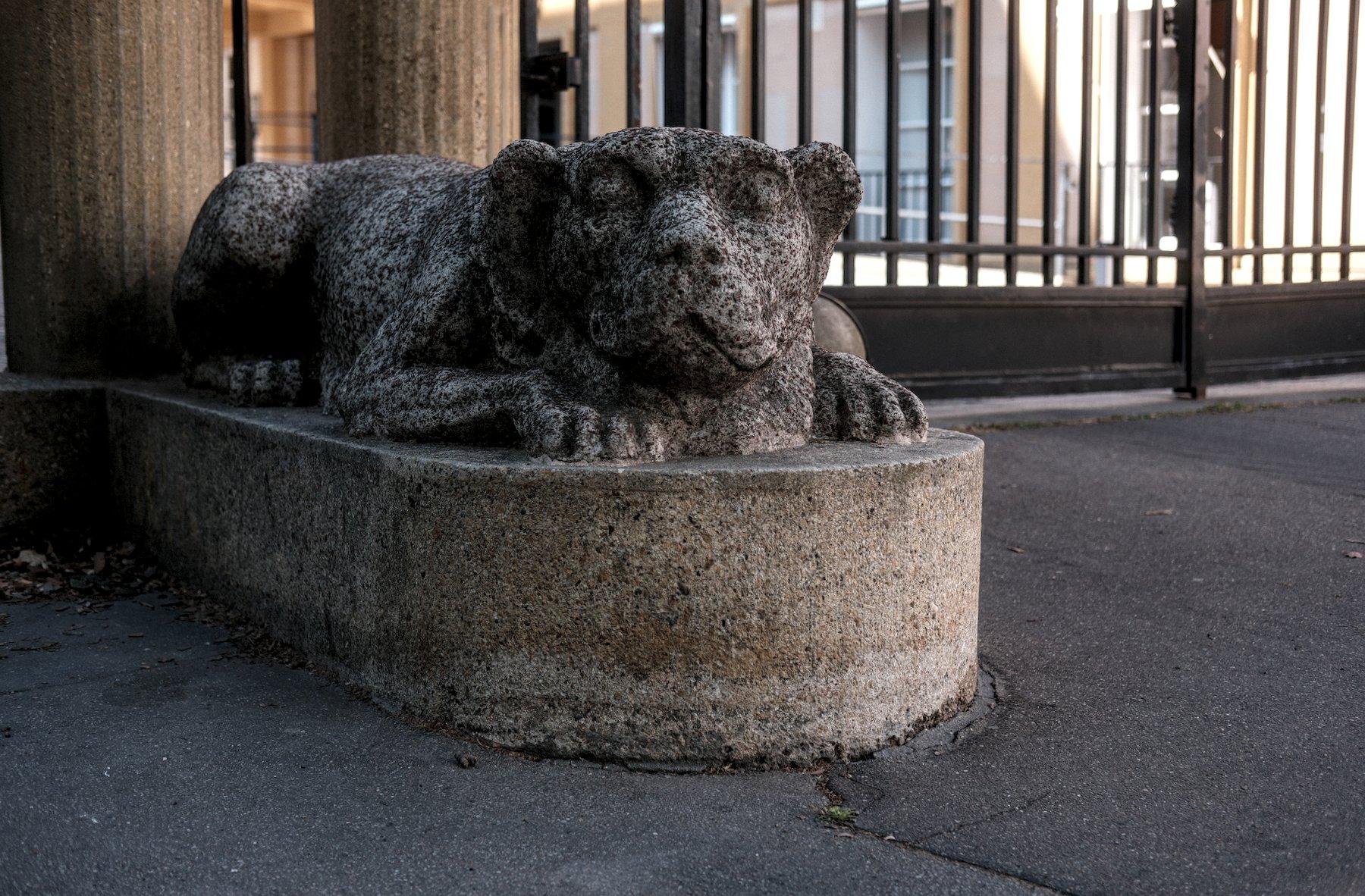 Photo horizontale. Vue au niveau des genoux sur une statue de pierre représentant une espèce de chien couché, devant un grand portail à barreaux noirs