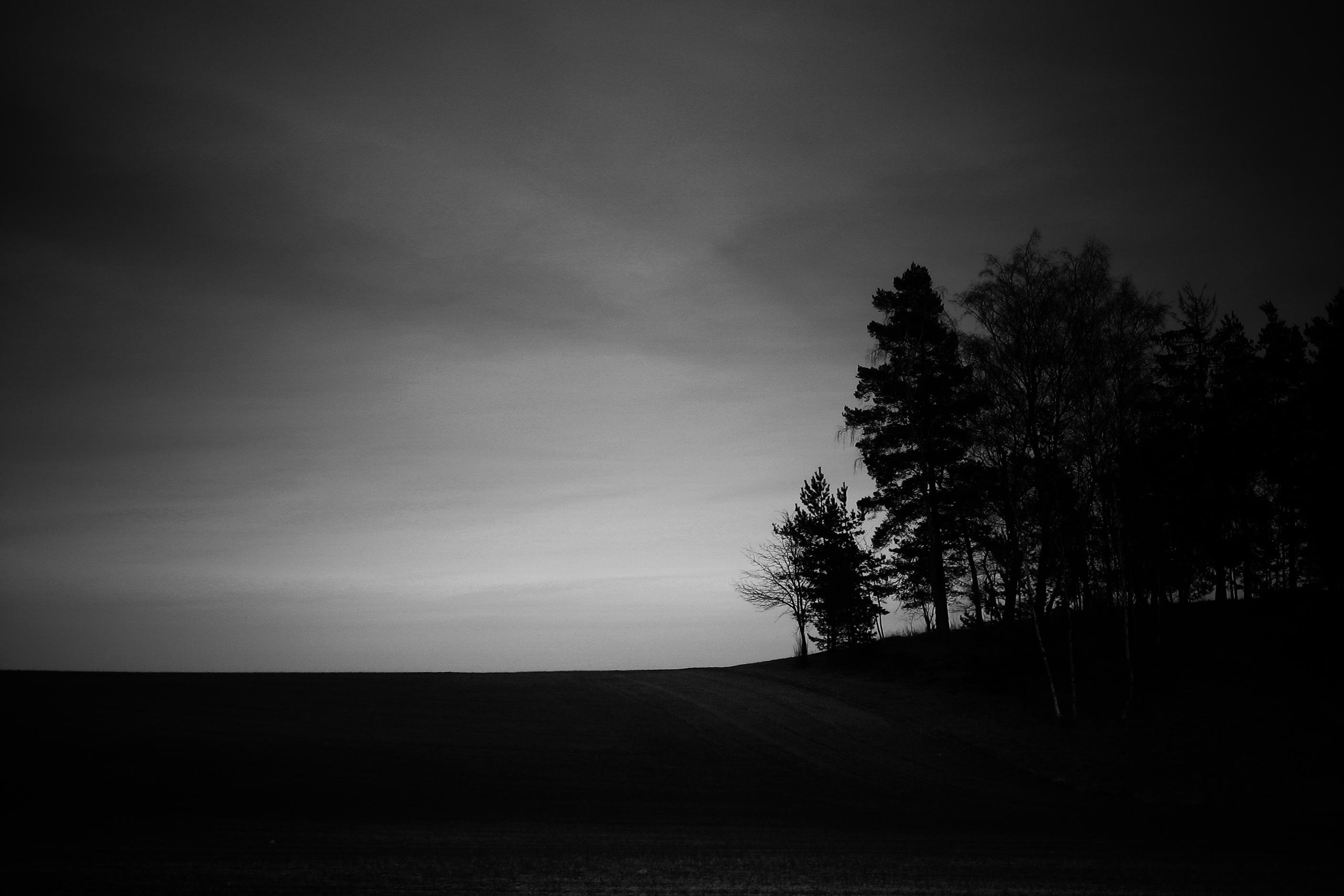 Dark, overcast sky above a gently sloping hill, with a cluster of trees in silhouette along the right side and an open, empty foreground.