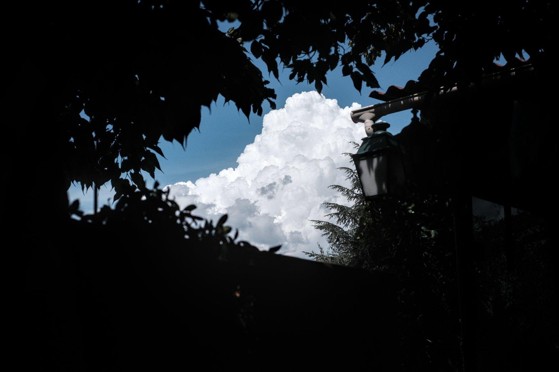 Horizontal photo. Dark back lighted trees forms a window where a huge white cloud and blue sky can be seen