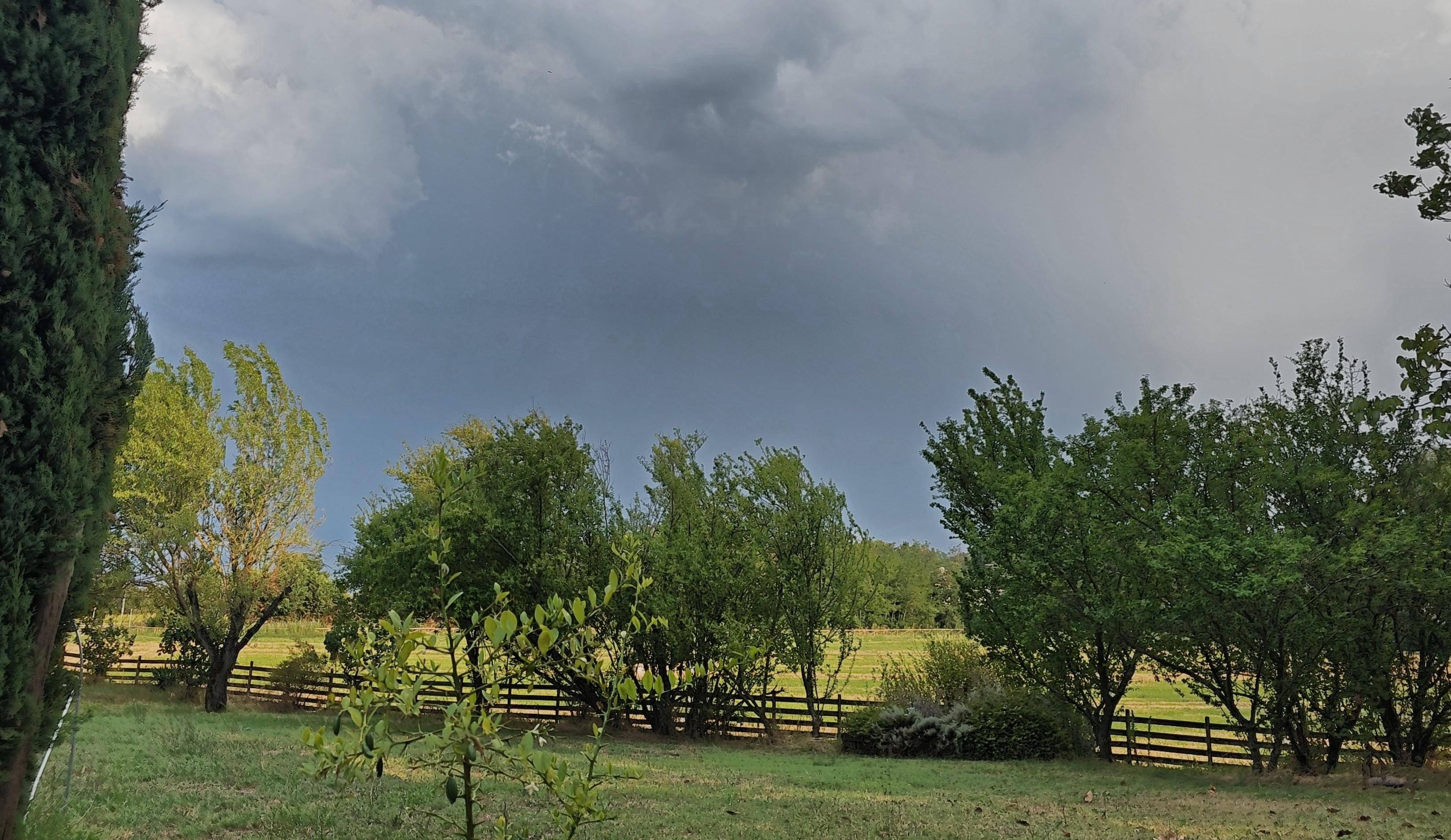 The image shows a landscape with a grassy field and several trees. There is a wooden fence in the background and dark clouds in the sky, suggesting an impending storm. The overall atmosphere is calm but slightly foreboding due to the weather.