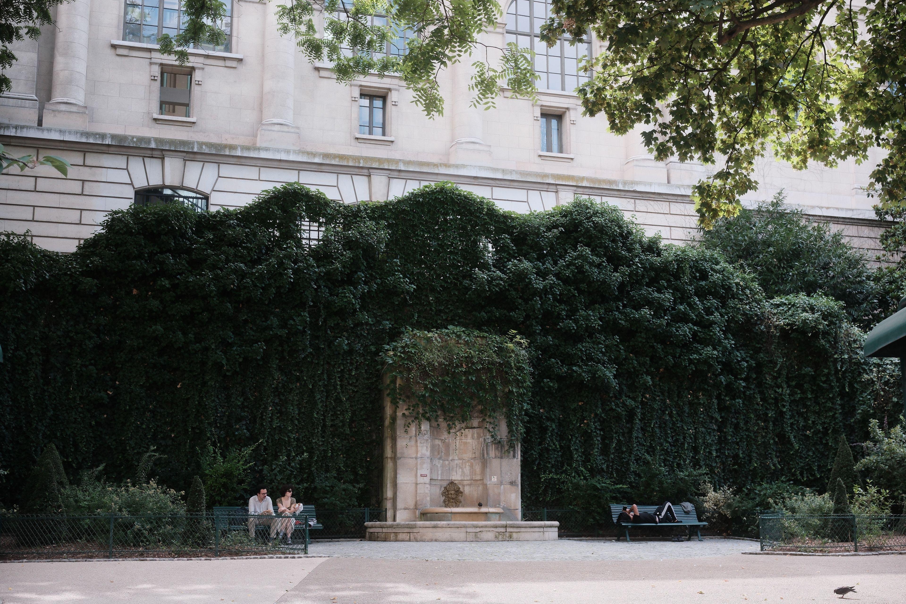 Photo paysage sur un parc parisien, montrant au fond un immeuble, hors du parc, un énorme mur végétal devant. Au centre, une fontaine en pierre, couverte d’un manteau végétal sur presque la moitié. À gauche, un banc vert avec un couple assis dessus, à droite de la fontaine, un autre banc avec une personne allongée dessus. Le sol est beige sable au premier plan et gris près de la fontaine et des bancs. Un pigeon picore au premier plan dans le coin bas droite.