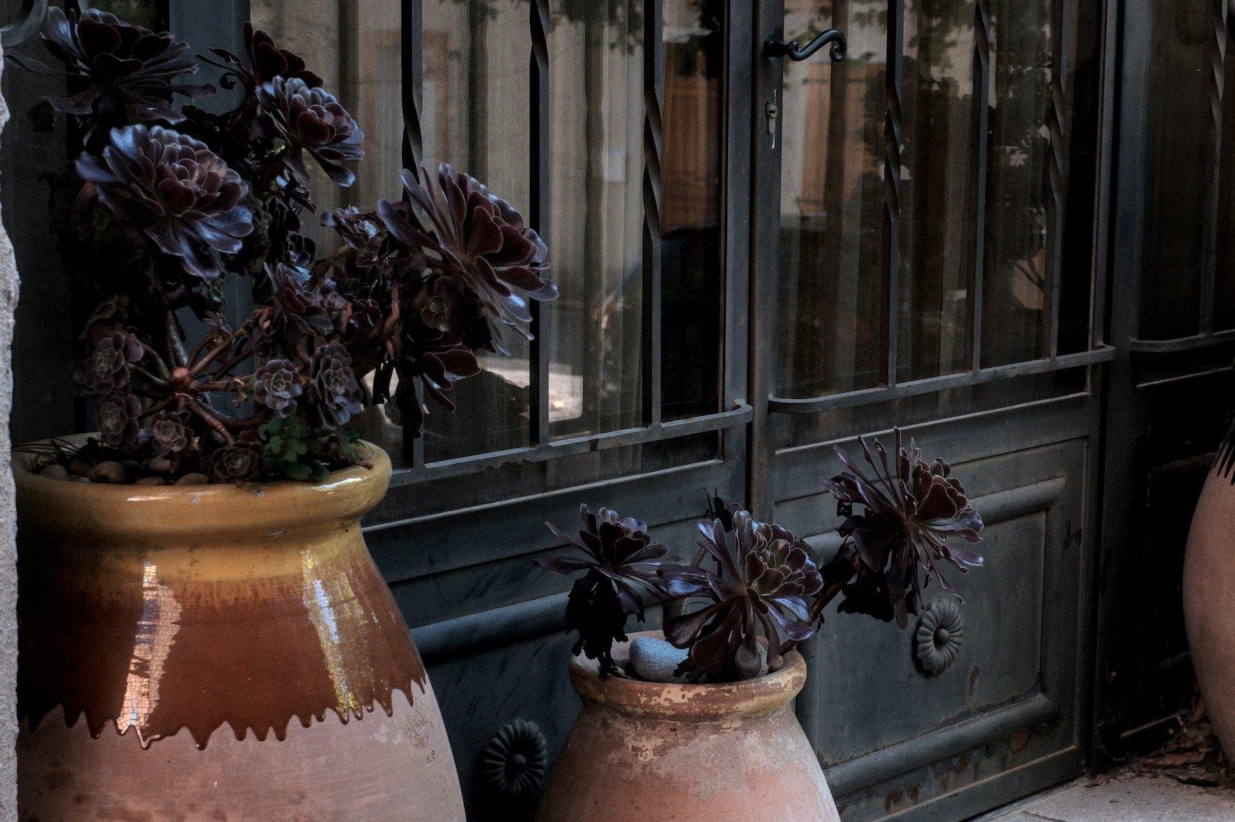 Horizontal photo. In front of a double black door with vertical forged twisted bars and glass behind them, 2 flower pots a big and a smaller one, containing black plants that look like succulents