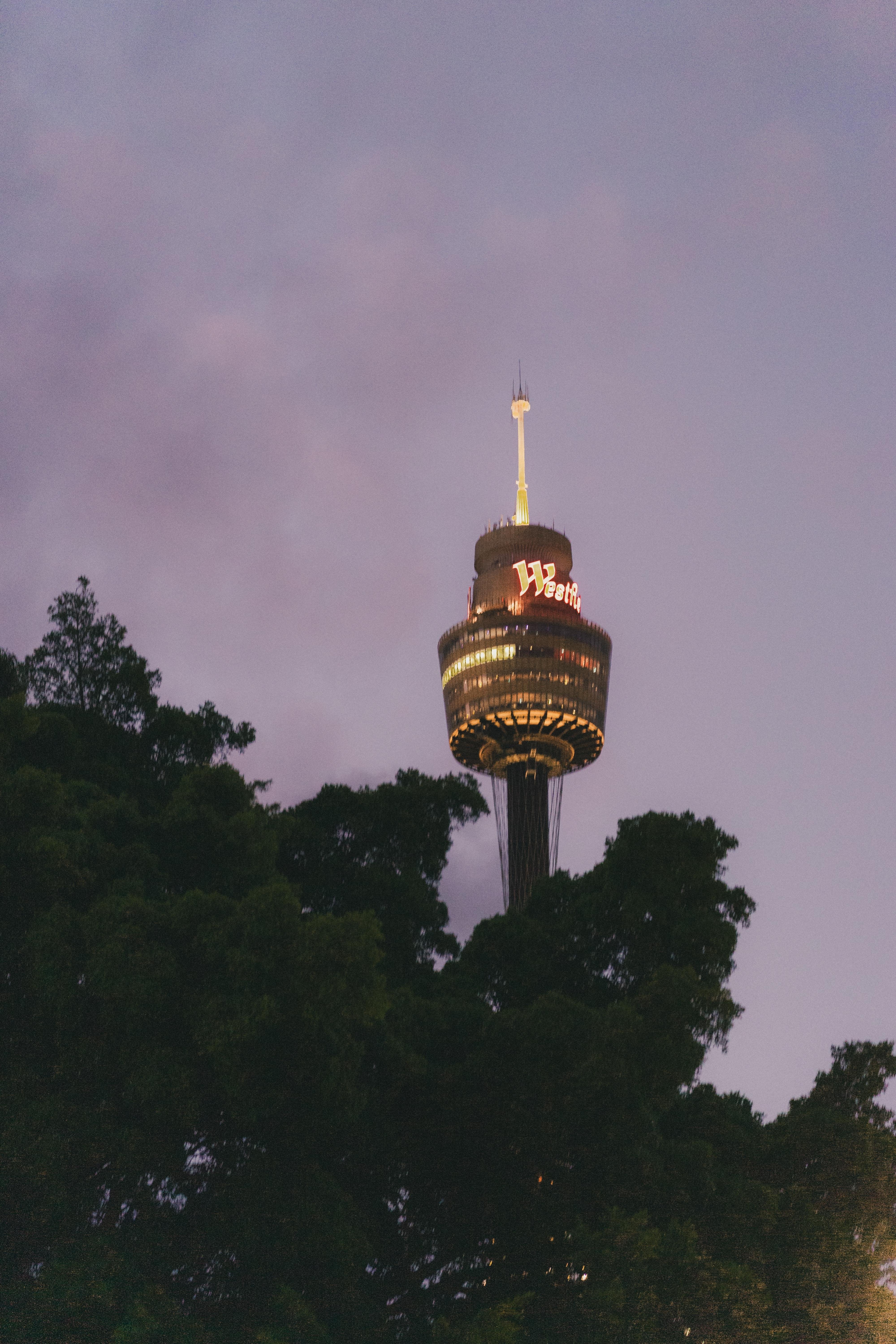 The image shows the Sydney Tower, a prominent structure in Sydney, Australia. It features the Westfield logo, and some trees are visible in the foreground. The photo seems to be taken during dusk or evening.