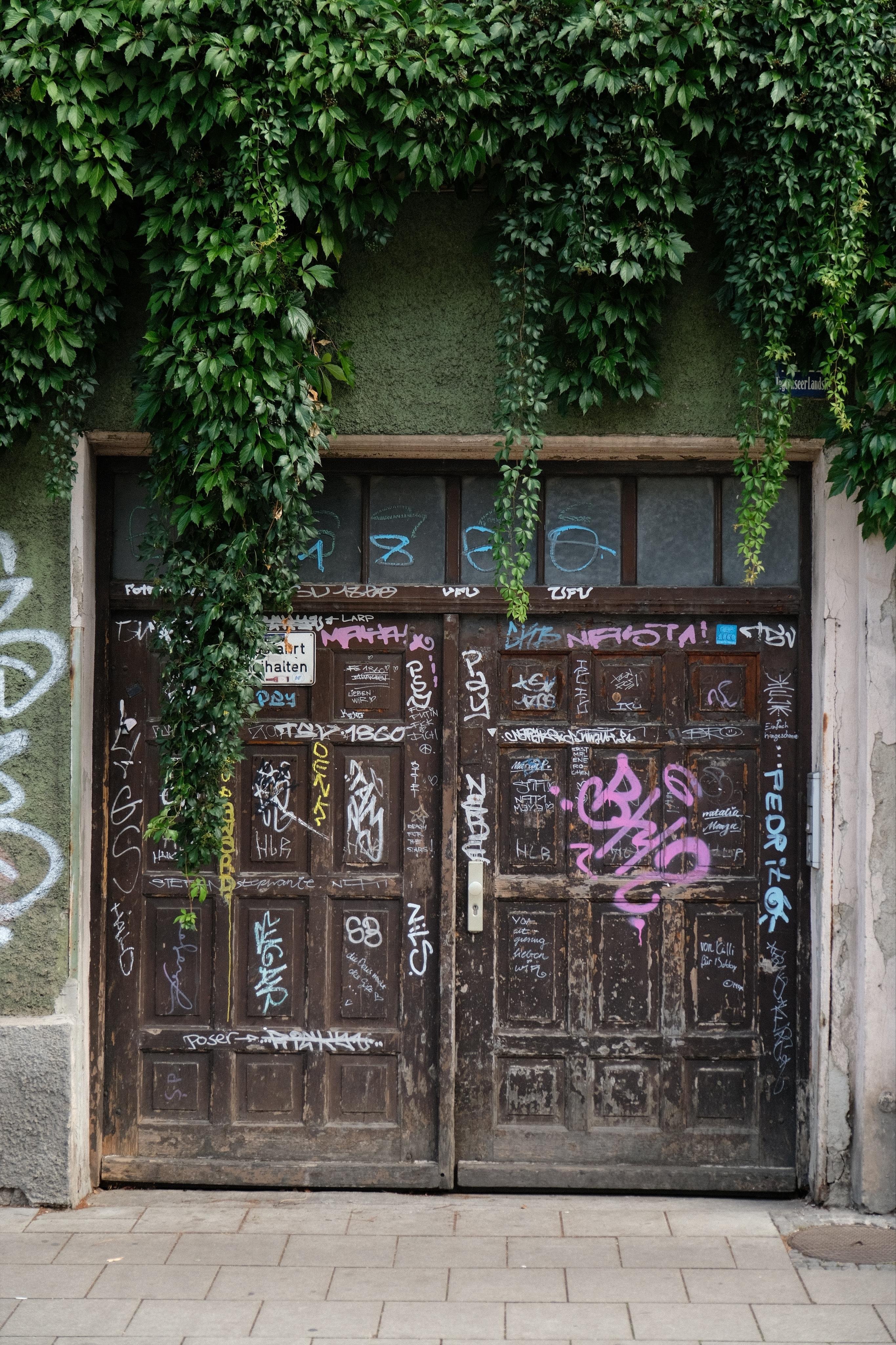 Closed wooden double folding door leading to the yard of an Appartement building. The door is densely covered by small graffiti scribbling in different colors.
A dense Ivy plant grows on the wall over the door, some tendrils hanging down into the door frame.