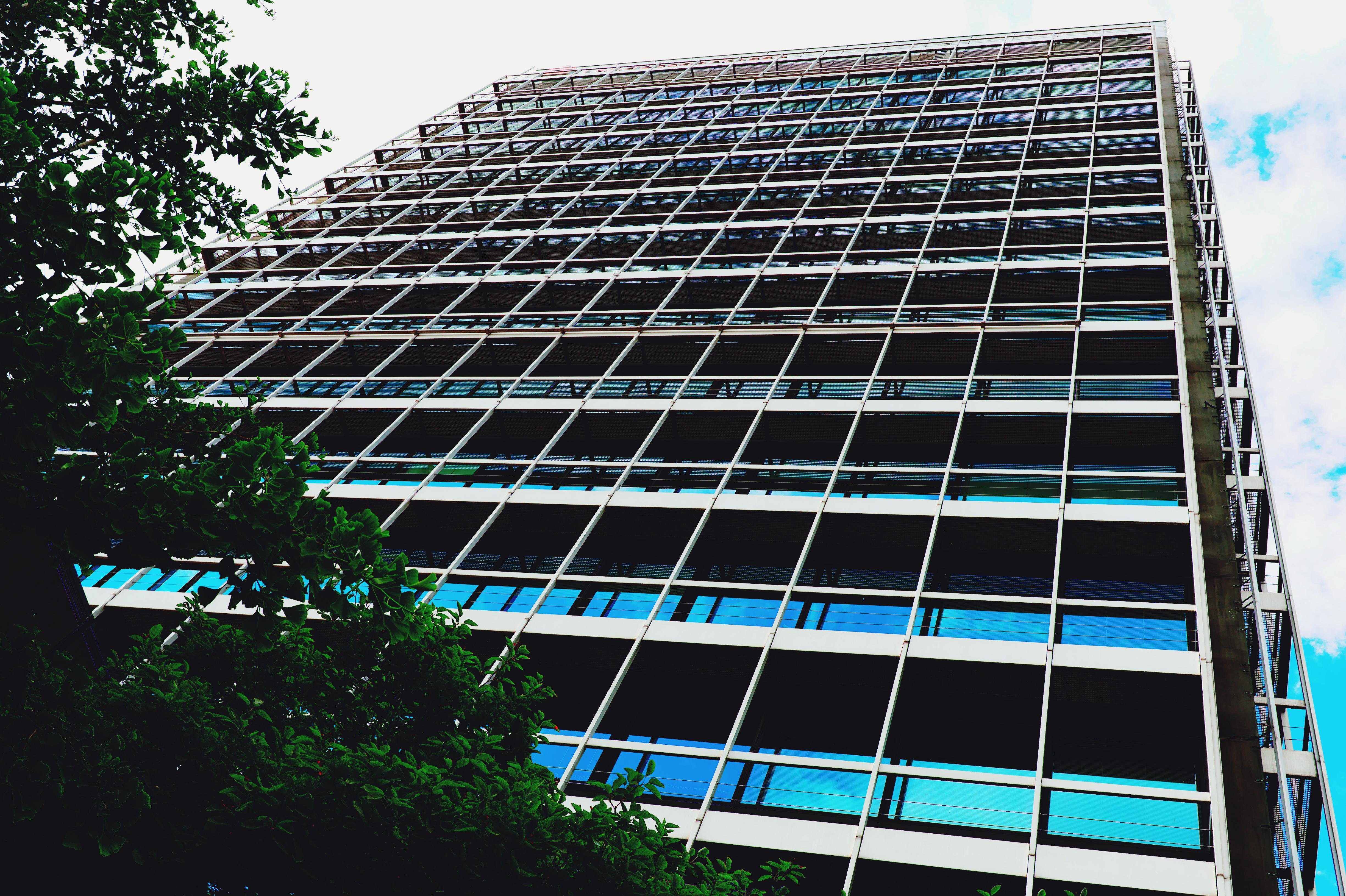 Upward view of a tall office building with a grid of white framing and blue-tinted windows, with leafy tree branches in the lower left and a cloudy sky on the right.